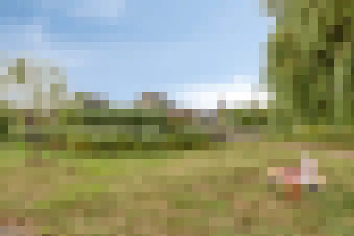 Vroonland 29 Yerseke thumbnail 54
