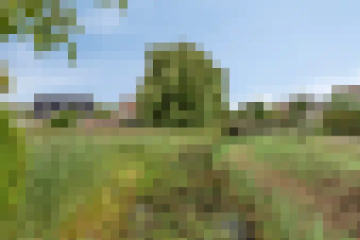 Vroonland 29 Yerseke thumbnail 55