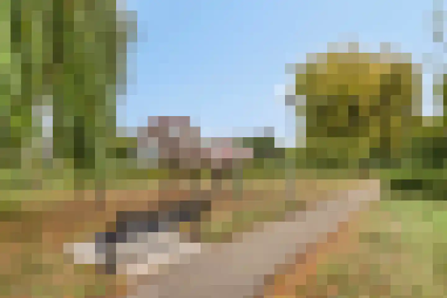Vroonland 29 Yerseke thumbnail 56