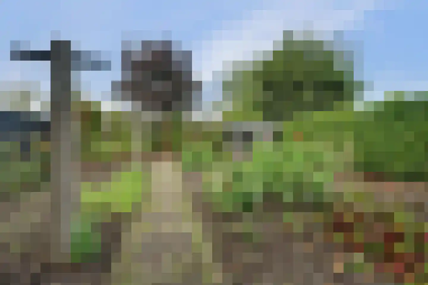 Vroonlandseweg 64 Kapelle thumbnail 45