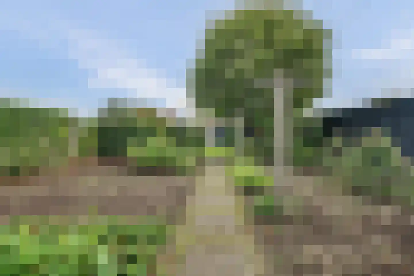 Vroonlandseweg 64 Kapelle thumbnail 46