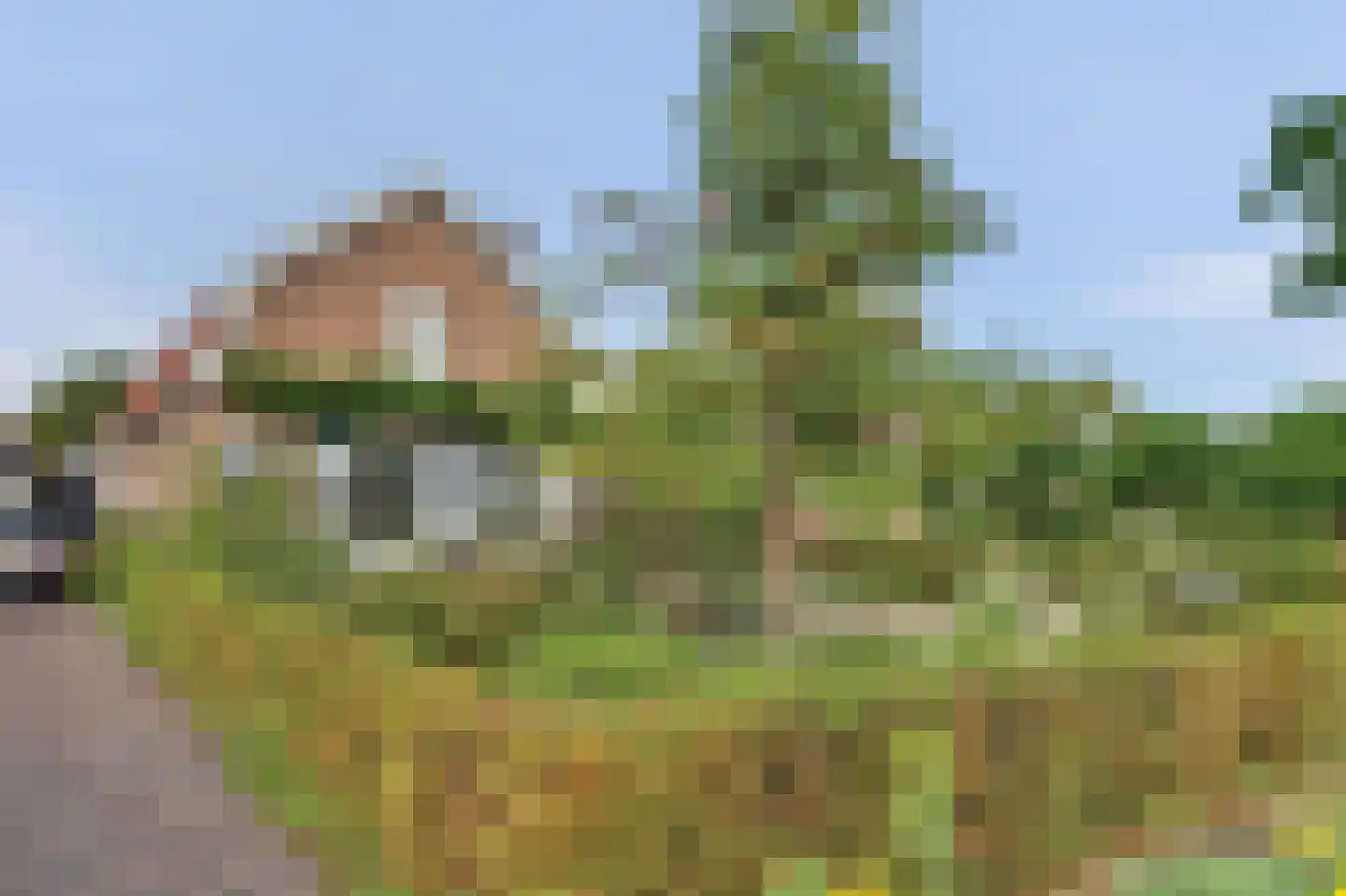 Vroonlandseweg 64 Kapelle thumbnail 51