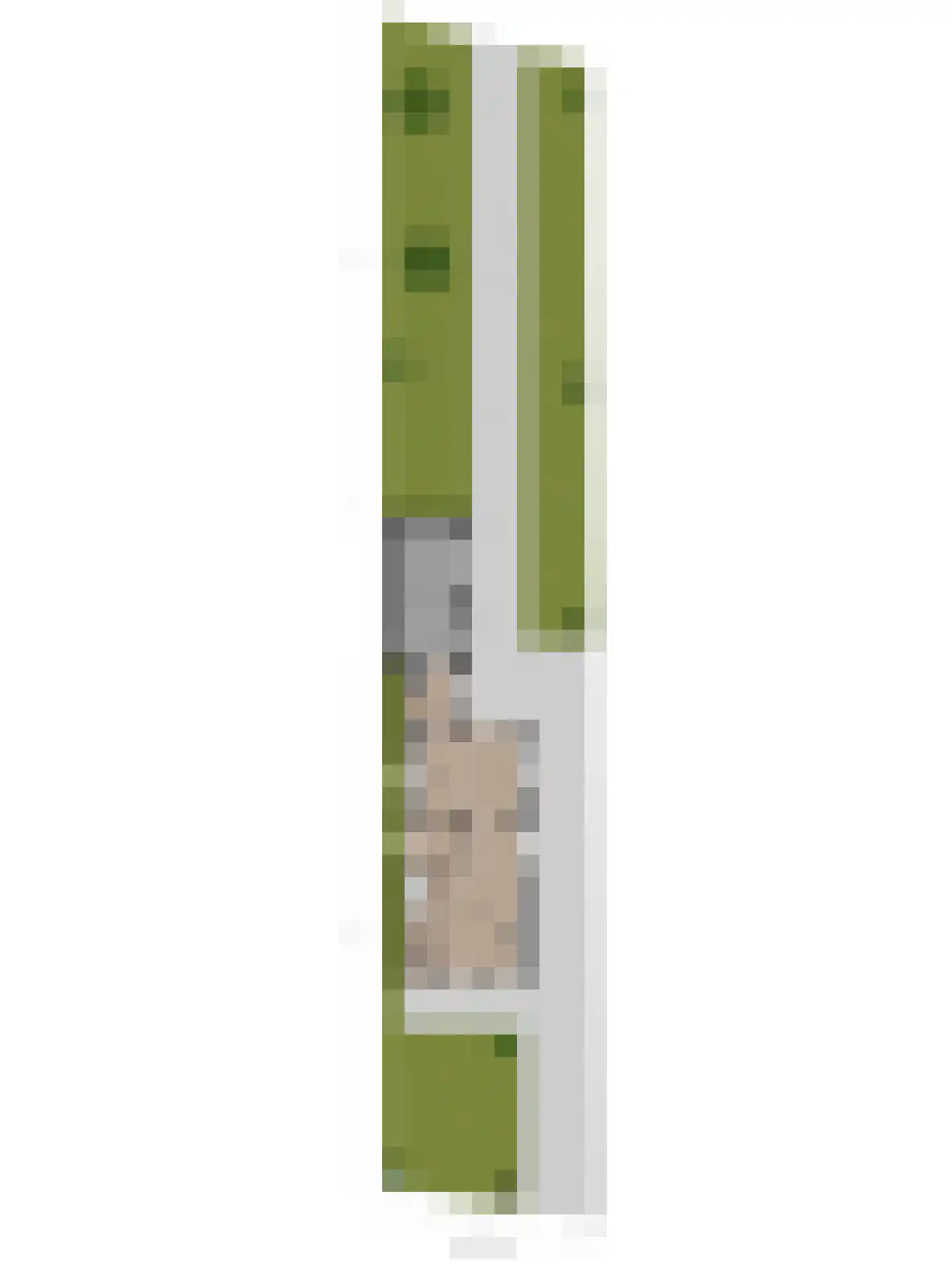 Vroonlandseweg 64 Kapelle thumbnail 69
