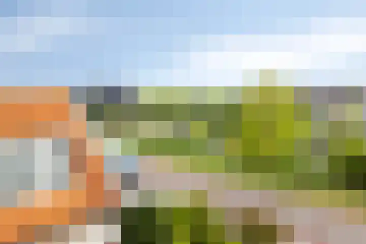 Vroonlandseweg 70 Kapelle thumbnail 35