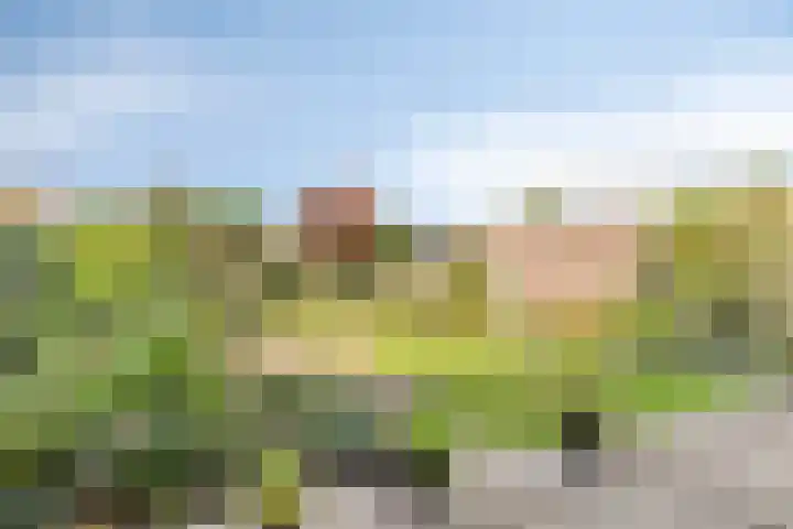 Vroonlandseweg 70 Kapelle thumbnail 6