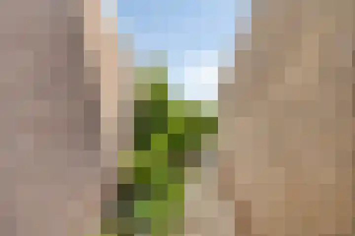 Vroonlandseweg 70 Kapelle thumbnail 7