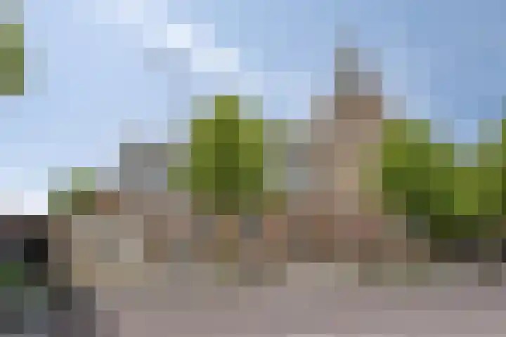 Vroonstraat 12 Serooskerke thumbnail 21