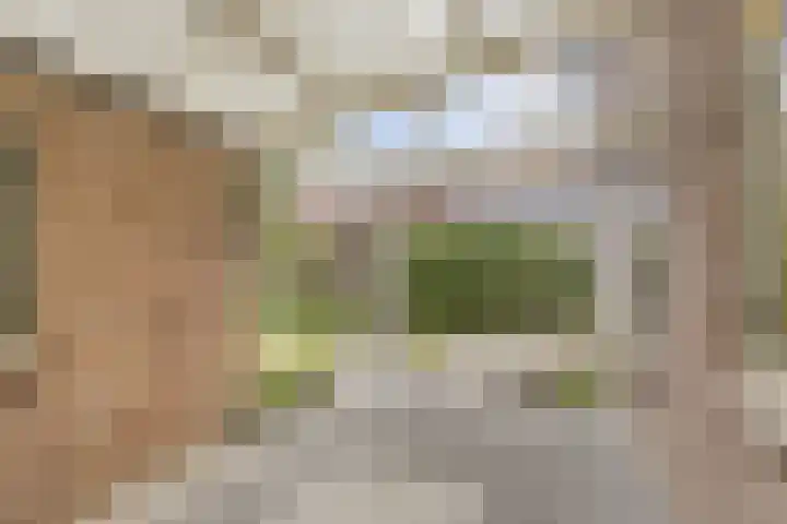 Vroonstraat 12 Serooskerke thumbnail 9