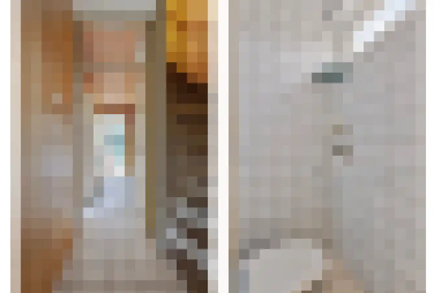 Vroonstraat 14 Serooskerke thumbnail 9