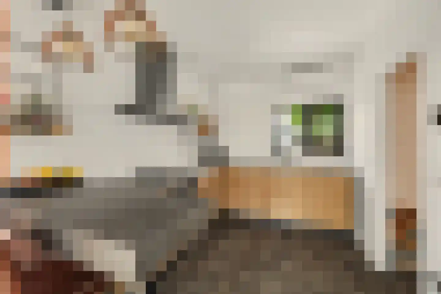 Vroonstraat 17 Kerkwerve thumbnail 13