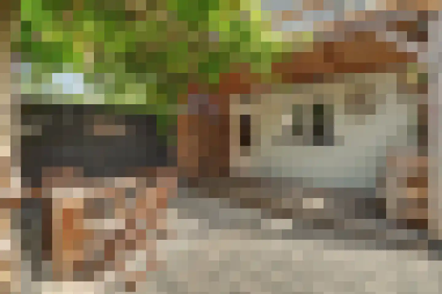 Vroonstraat 17 Kerkwerve thumbnail 27