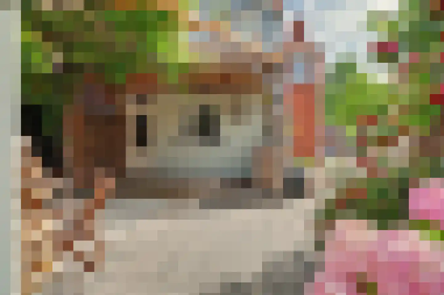 Vroonstraat 17 Kerkwerve thumbnail 31