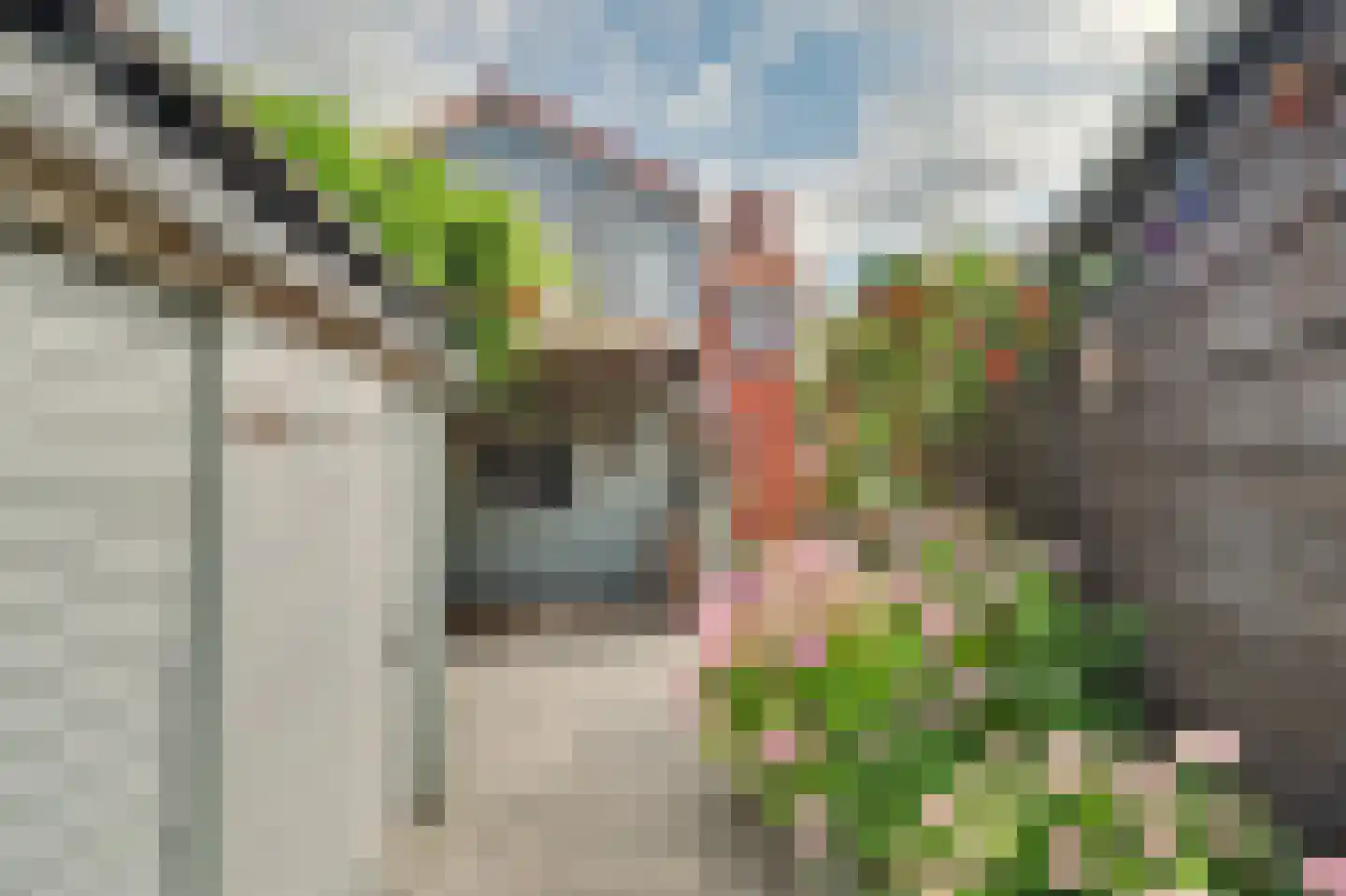 Vroonstraat 17 Kerkwerve thumbnail 40
