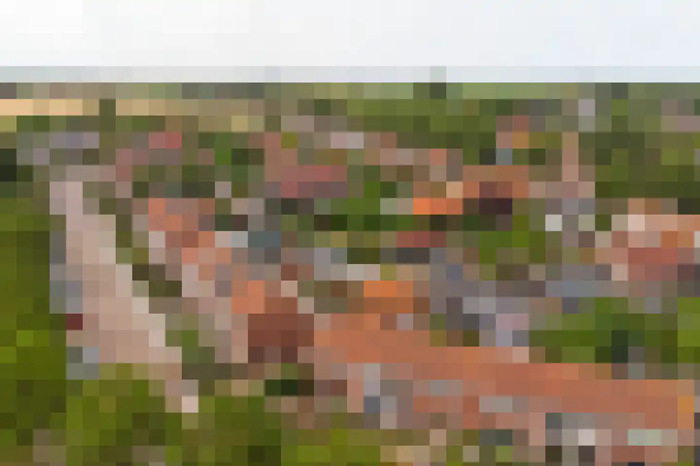 Vroonstraat 17 Kerkwerve thumbnail 46