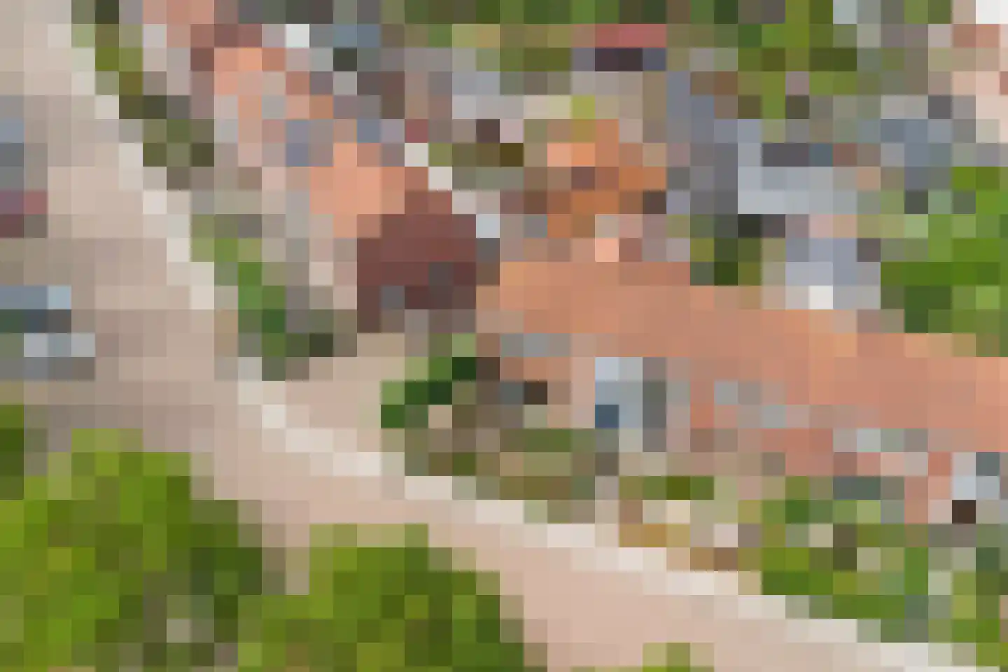 Vroonstraat 17 Kerkwerve thumbnail 48