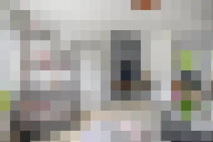 Vroonstraat 19 Vierpolders thumbnail 11