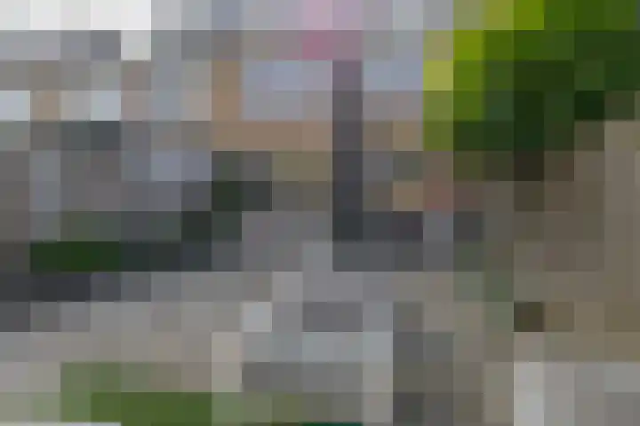 Vroonstraat 19 Vierpolders thumbnail 22