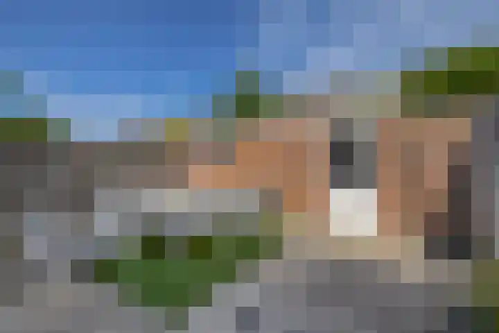 Vroonstraat 19 Vierpolders thumbnail 24
