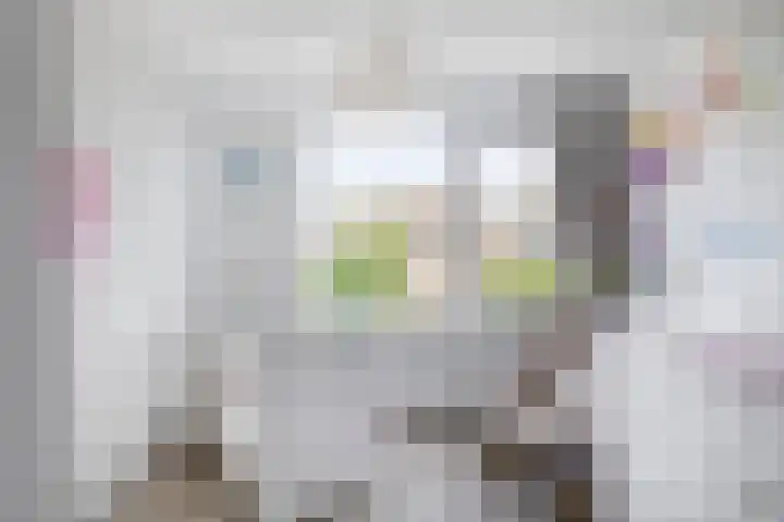 Vroonstraat 19 Vierpolders thumbnail 34