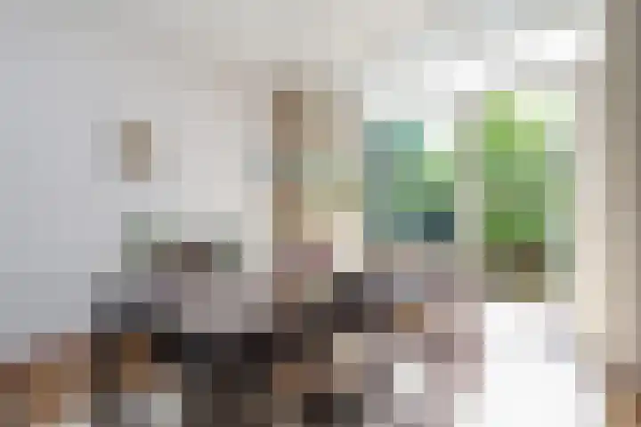 Vroonweerde 7 Rockanje thumbnail 16