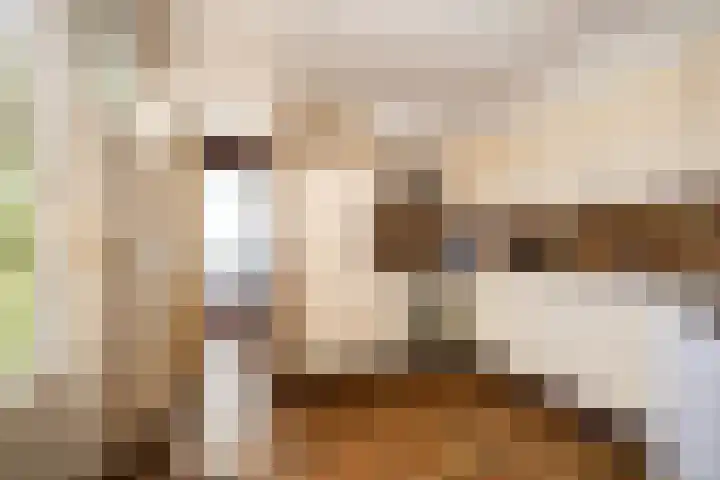 Vroonweerde 7 Rockanje thumbnail 22