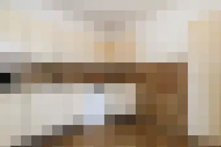 Vroonweerde 7 Rockanje thumbnail 23