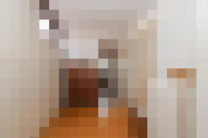 Vroonweerde 7 Rockanje thumbnail 35