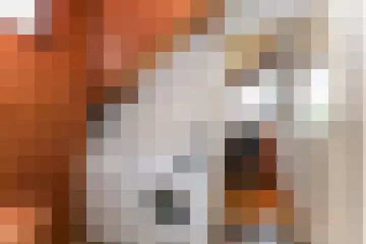 Vroonweerde 7 Rockanje thumbnail 36