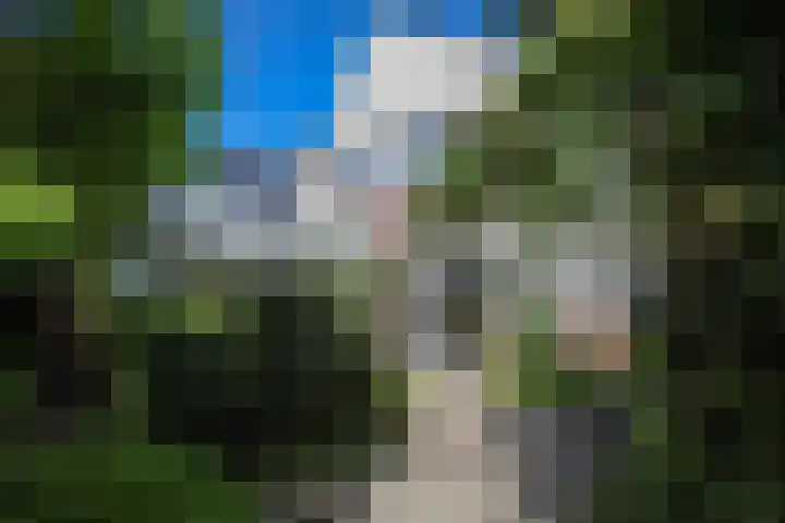 Vroonweerde 7 Rockanje thumbnail 45