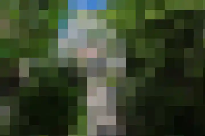 Vroonweerde 7 Rockanje thumbnail 46