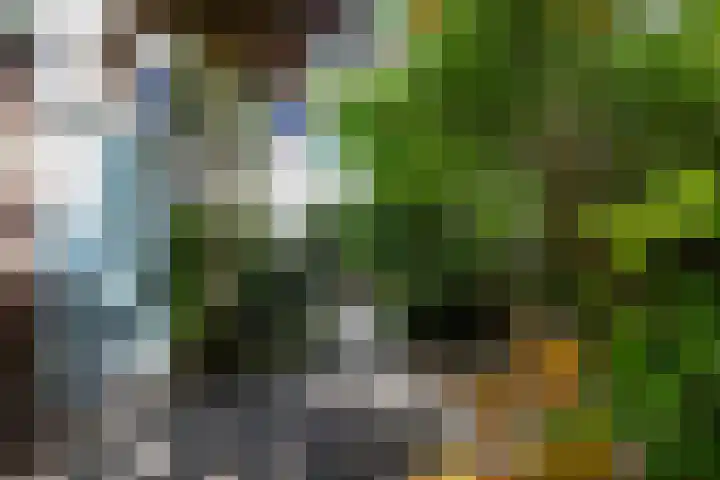 Vroonweerde 7 Rockanje thumbnail 49