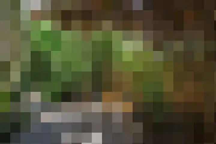 Vroonweerde 7 Rockanje thumbnail 50