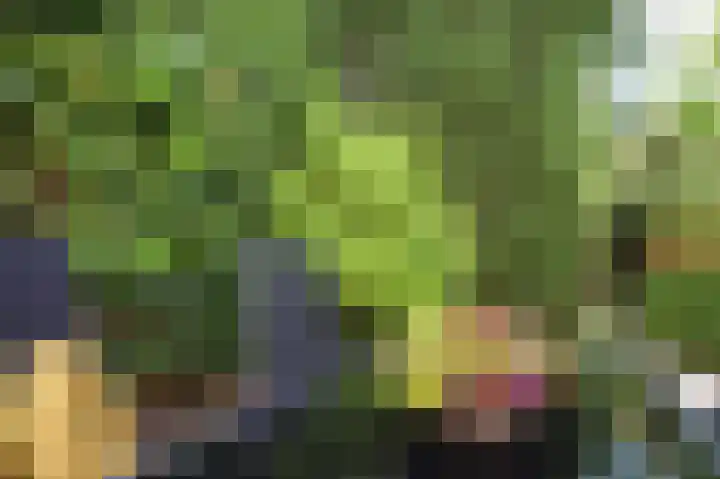 Vroonweerde 7 Rockanje thumbnail 51