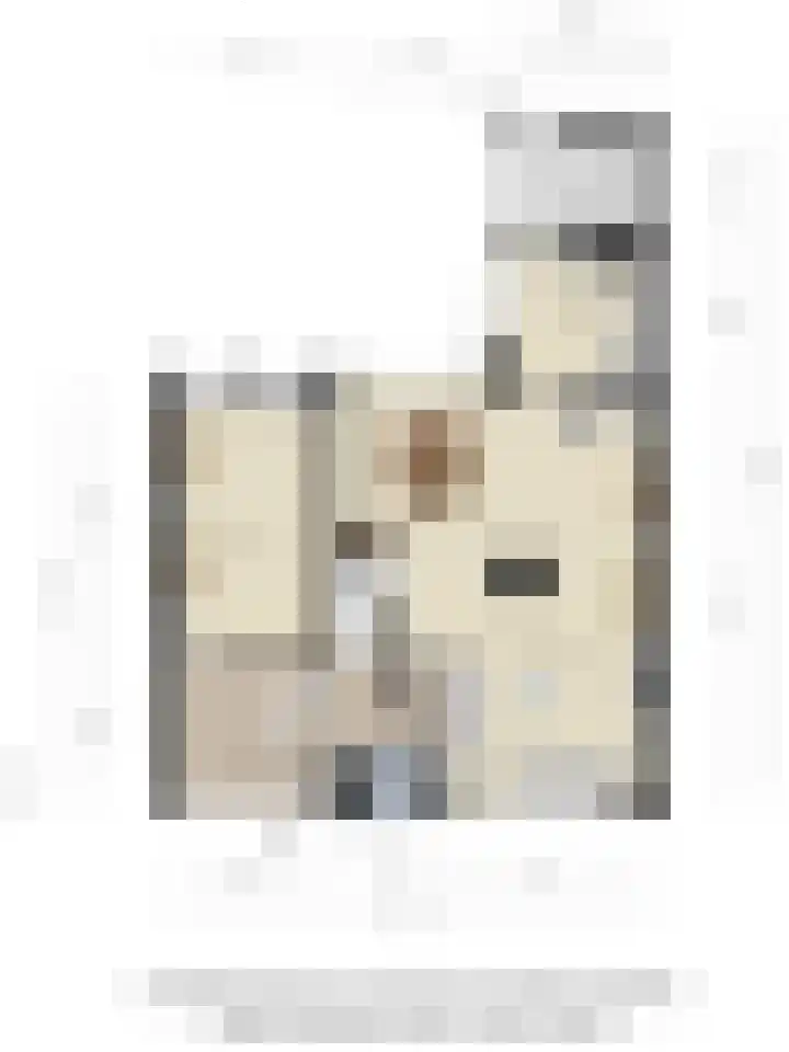 Vroonweerde 7 Rockanje thumbnail 53