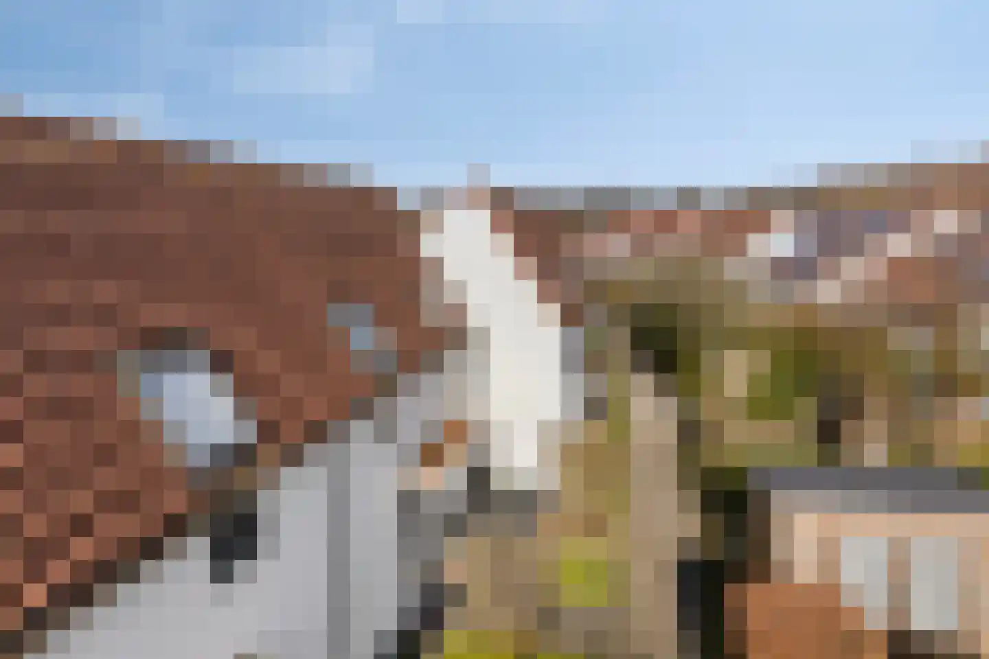 Vroonweg 2 A 38 Oostkapelle thumbnail 26