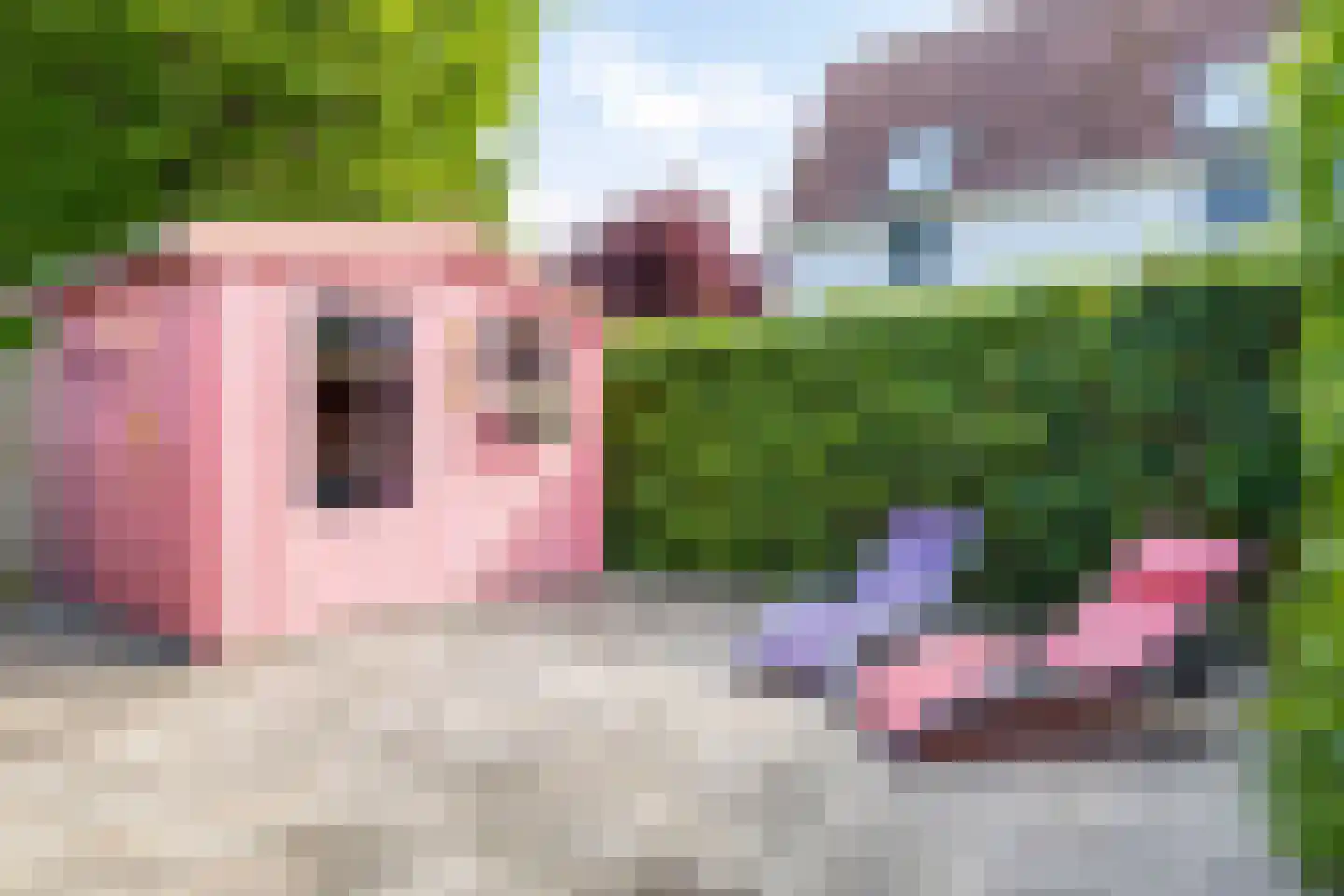 Vroonweg 2 A 6 Oostkapelle thumbnail 28