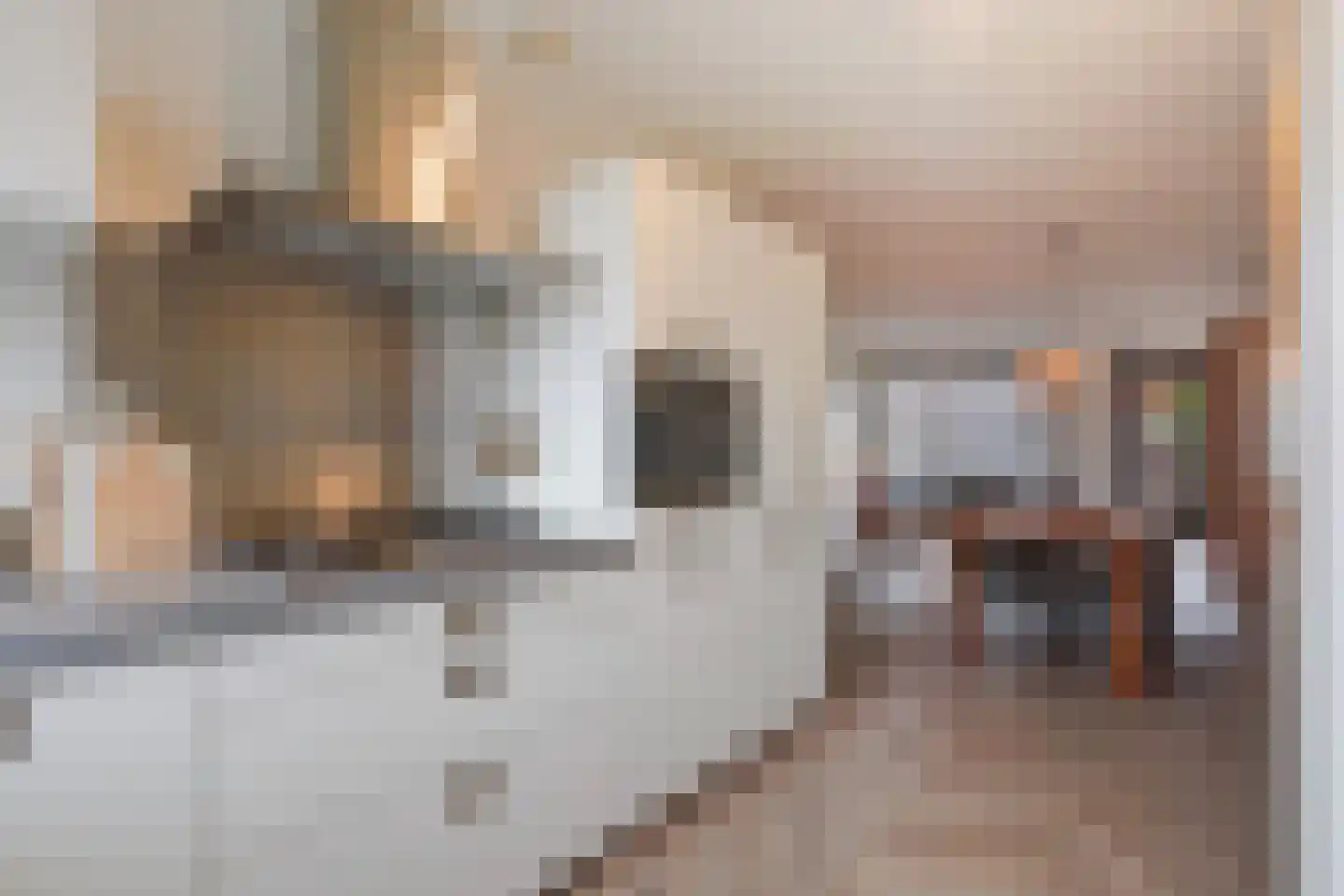 Vrouw Avenweg 136 Den Haag thumbnail 13