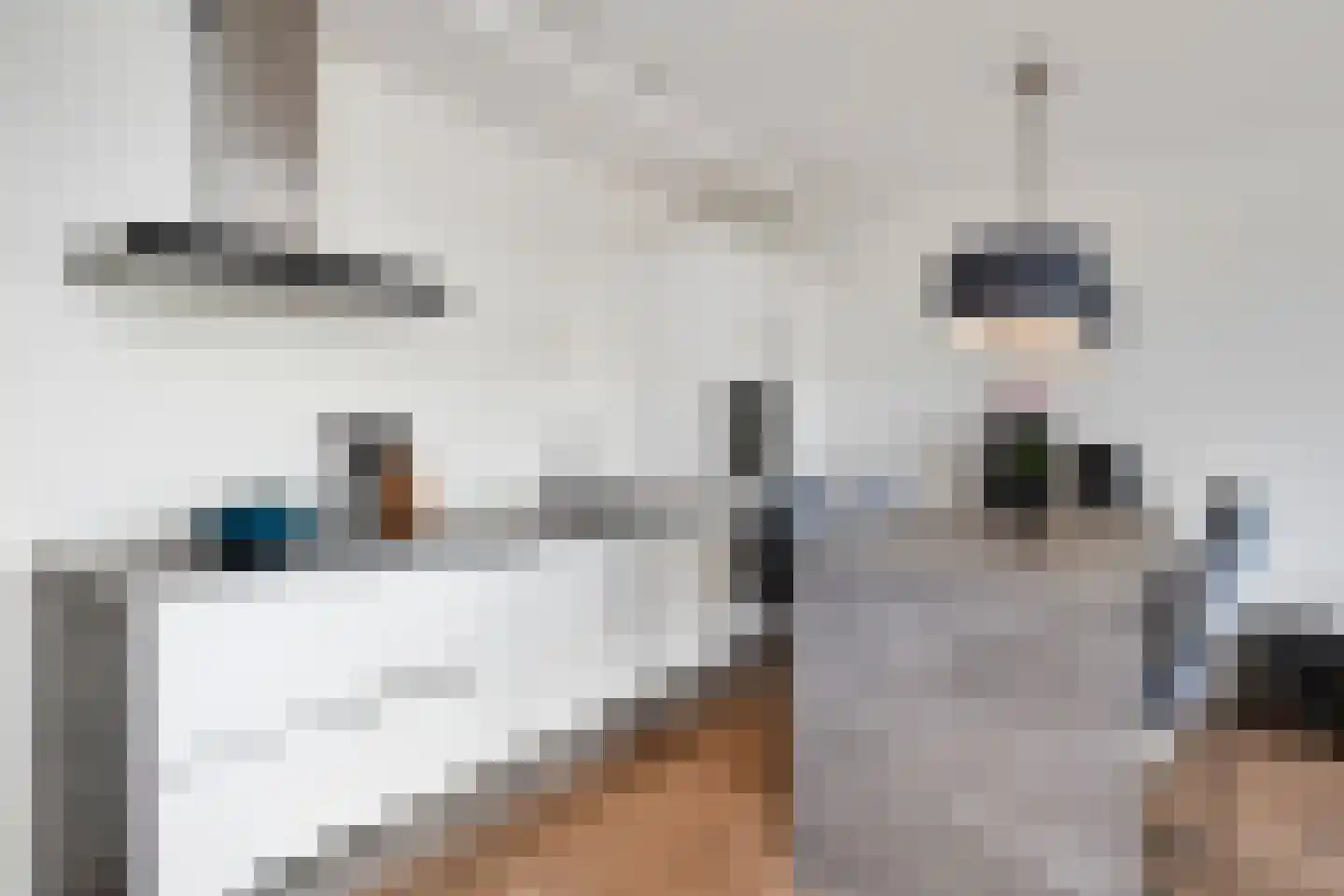 Vrouw Avenweg 16 A Den Haag thumbnail 14