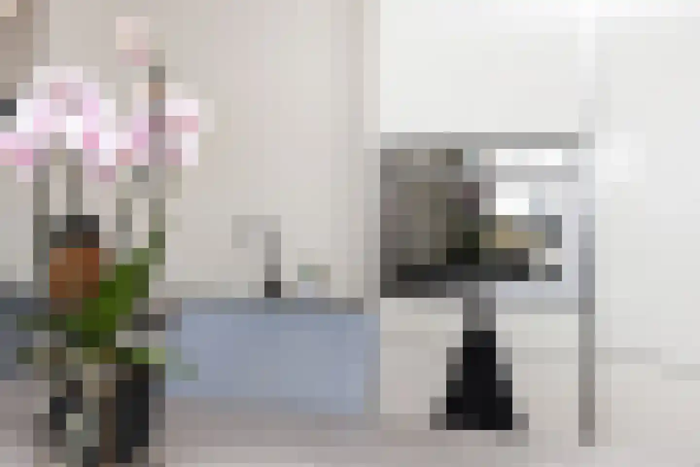 Vrouw Avenweg 16 A Den Haag thumbnail 17