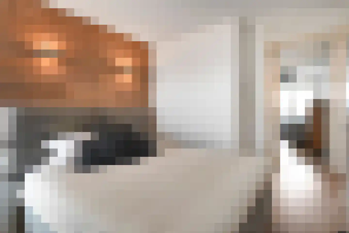 Vrouw Avenweg 16 A Den Haag thumbnail 18