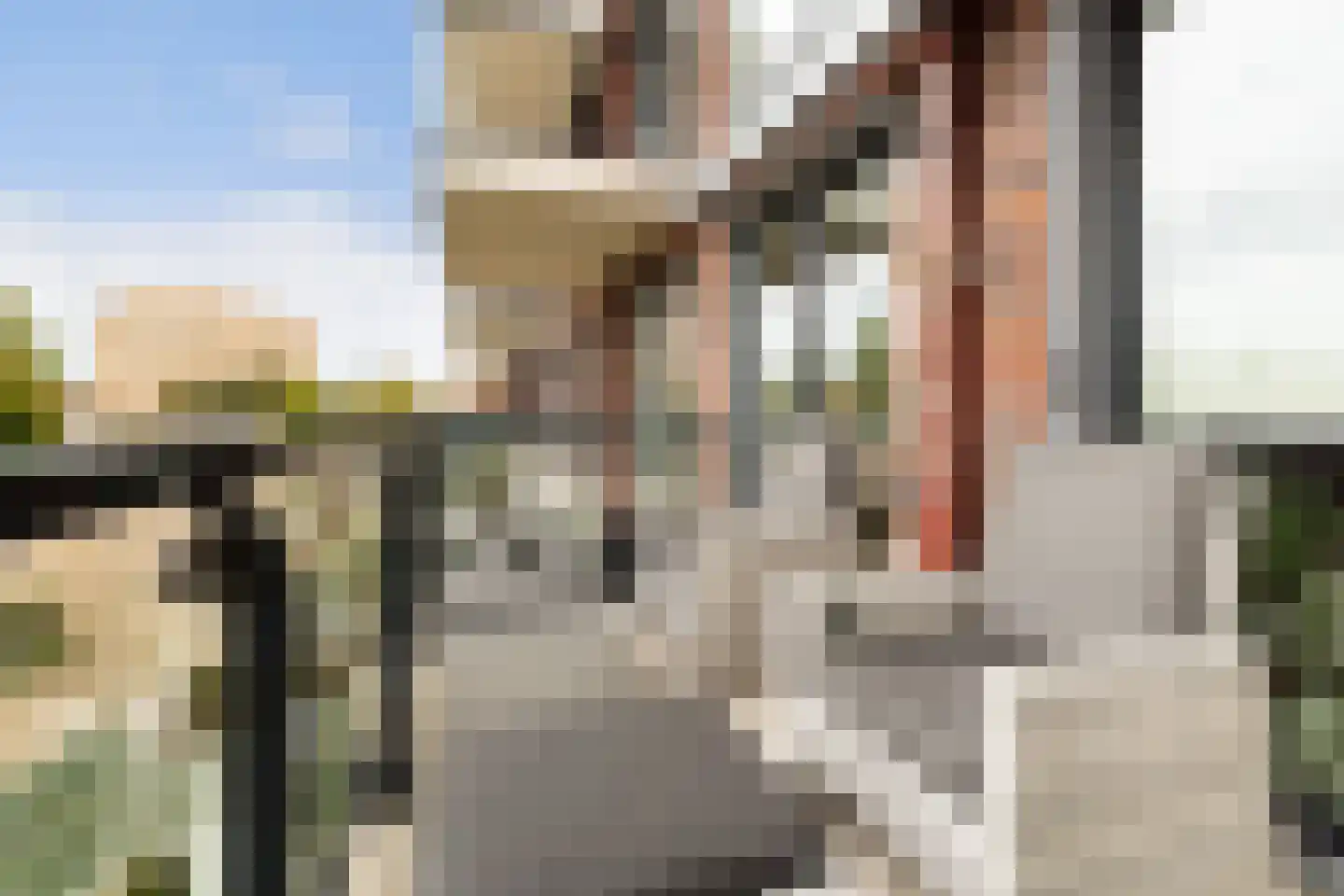 Vrouw Avenweg 6 D Den Haag thumbnail 31
