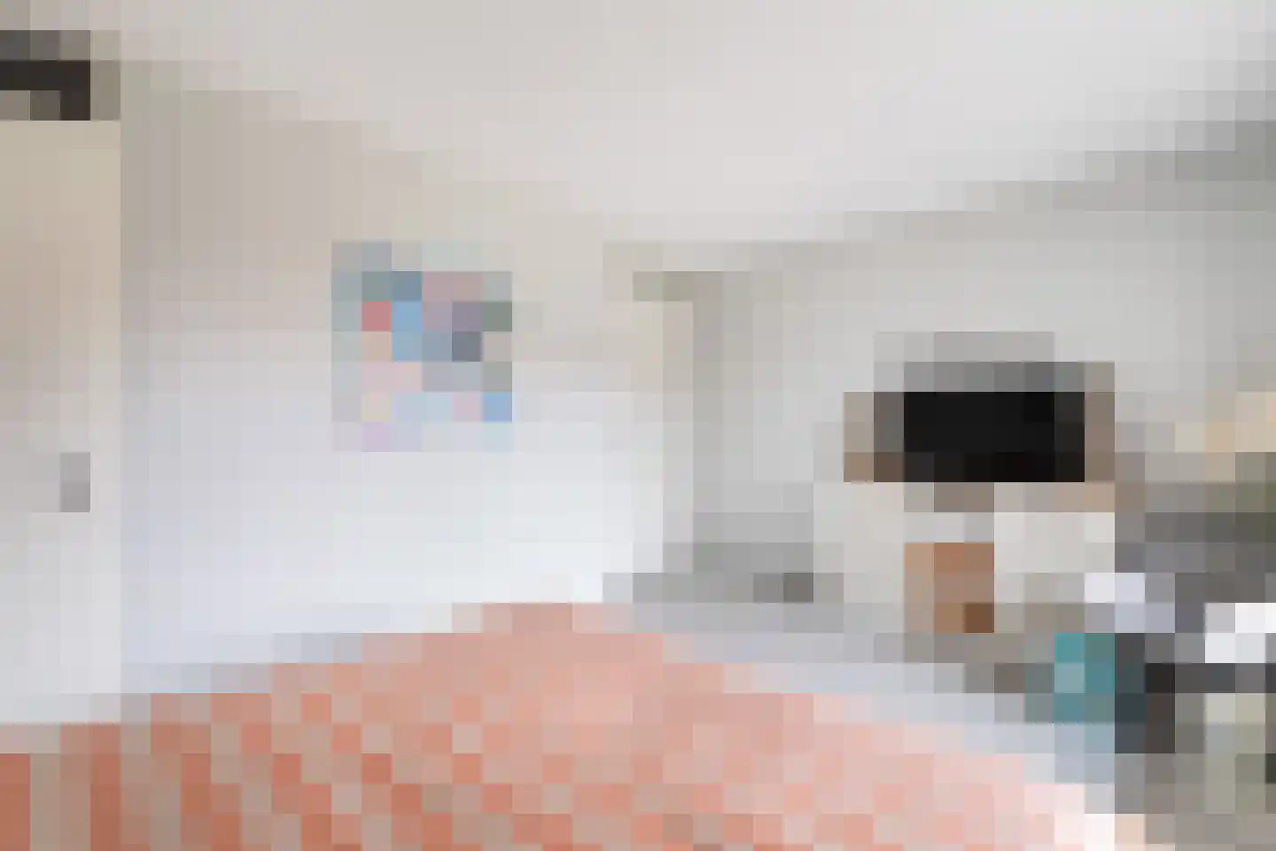Vrouw Avenweg 6 D Den Haag thumbnail 34