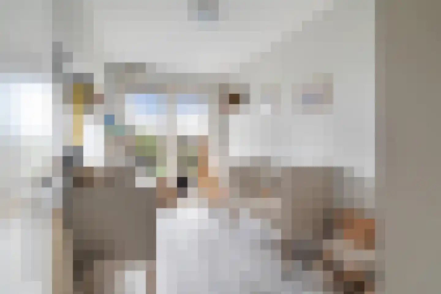 Vrouw Avenweg 6 D Den Haag thumbnail 35
