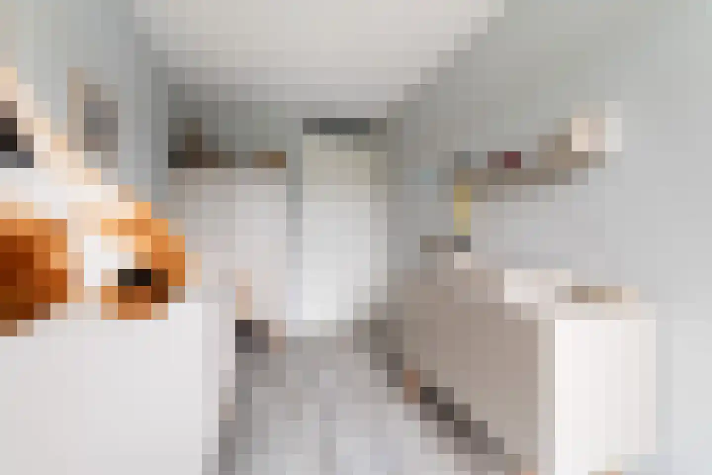 Vrouw Avenweg 6 D Den Haag thumbnail 36