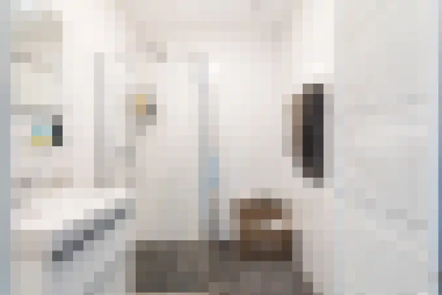 Vrouw Avenweg 6 D Den Haag thumbnail 6