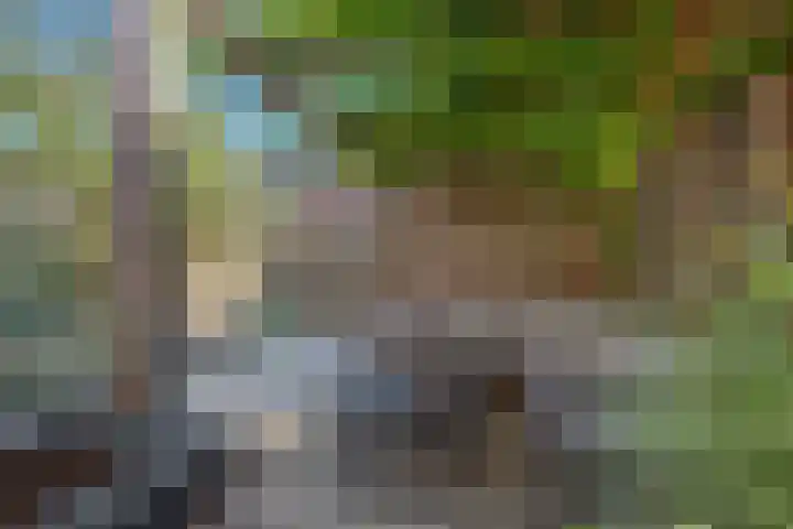 Vrouw Rijssensloot 20 Delft thumbnail 22