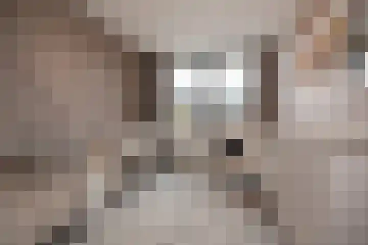 Vrouw Rijssensloot 20 Delft thumbnail 26