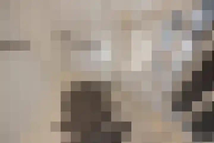 Vrouw Rijssensloot 20 Delft thumbnail 36