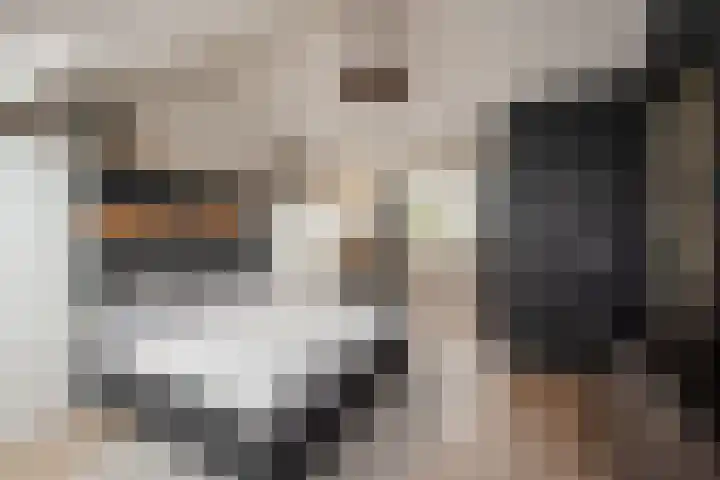 Vrouw Rijssensloot 20 Delft thumbnail 4