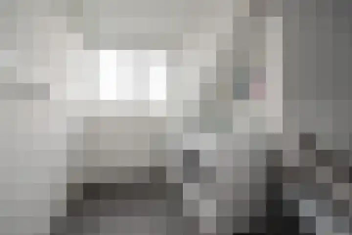 Vrouw Rijssensloot 20 Delft thumbnail 41